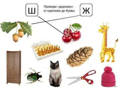 Дифференциация ш ж картинки