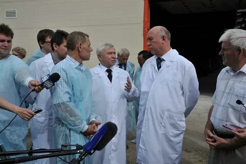 Погода на звезде безенчукский
