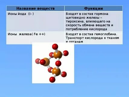 Функции ионов железа