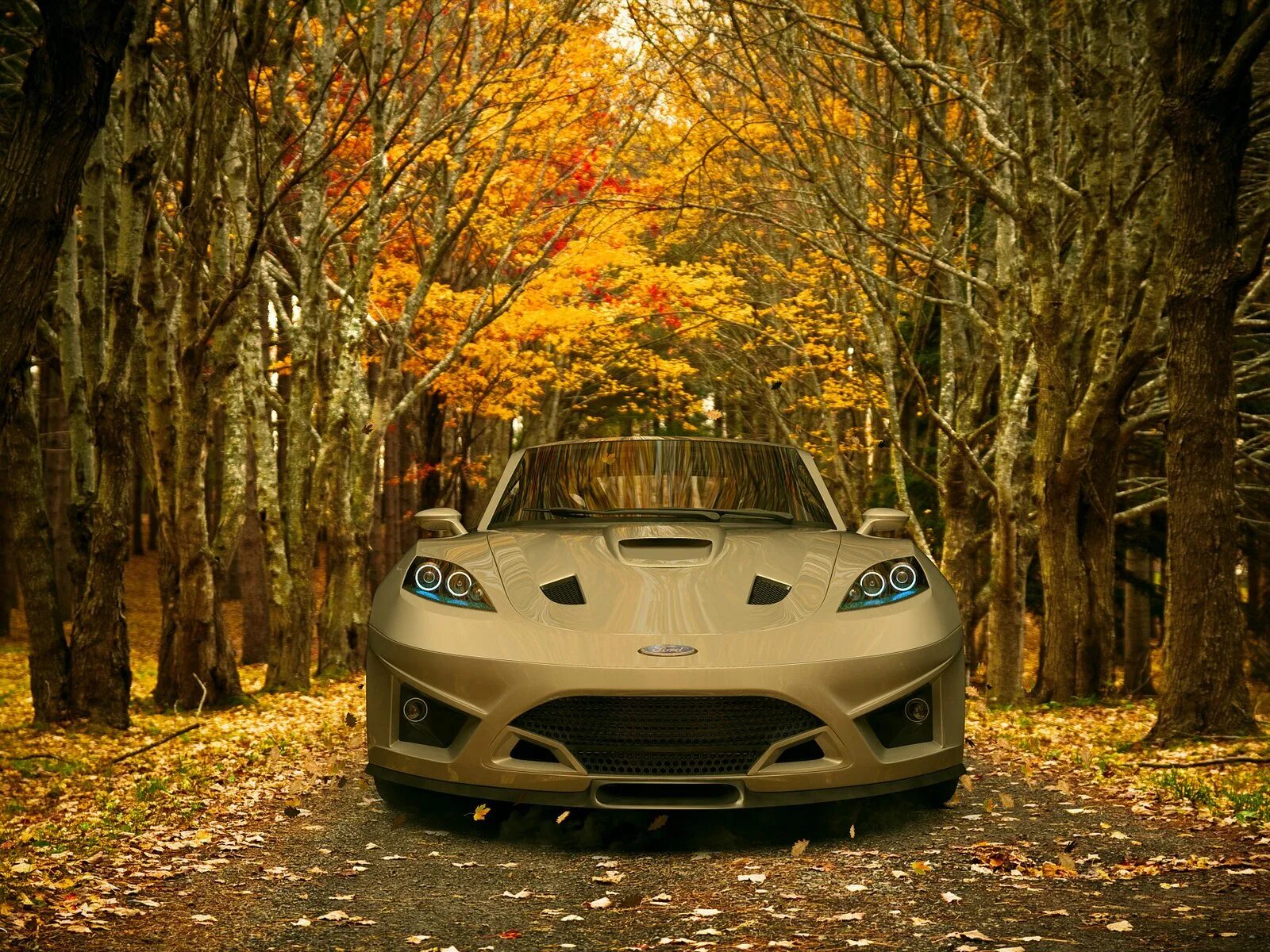 Капот в лесу. Машина в лесу. Машина в осеннем лесу. Автомобиль на природе. Обои машины.