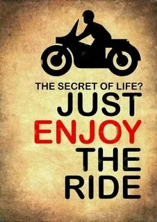 Just enjoy