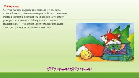 Выражение собаку съел