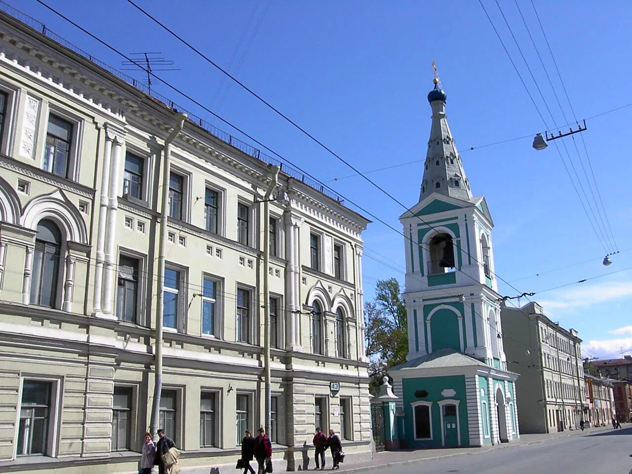 Беркут сампсониевский. Беркут сампсониевский