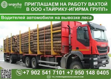 Сеть техник новая игирма