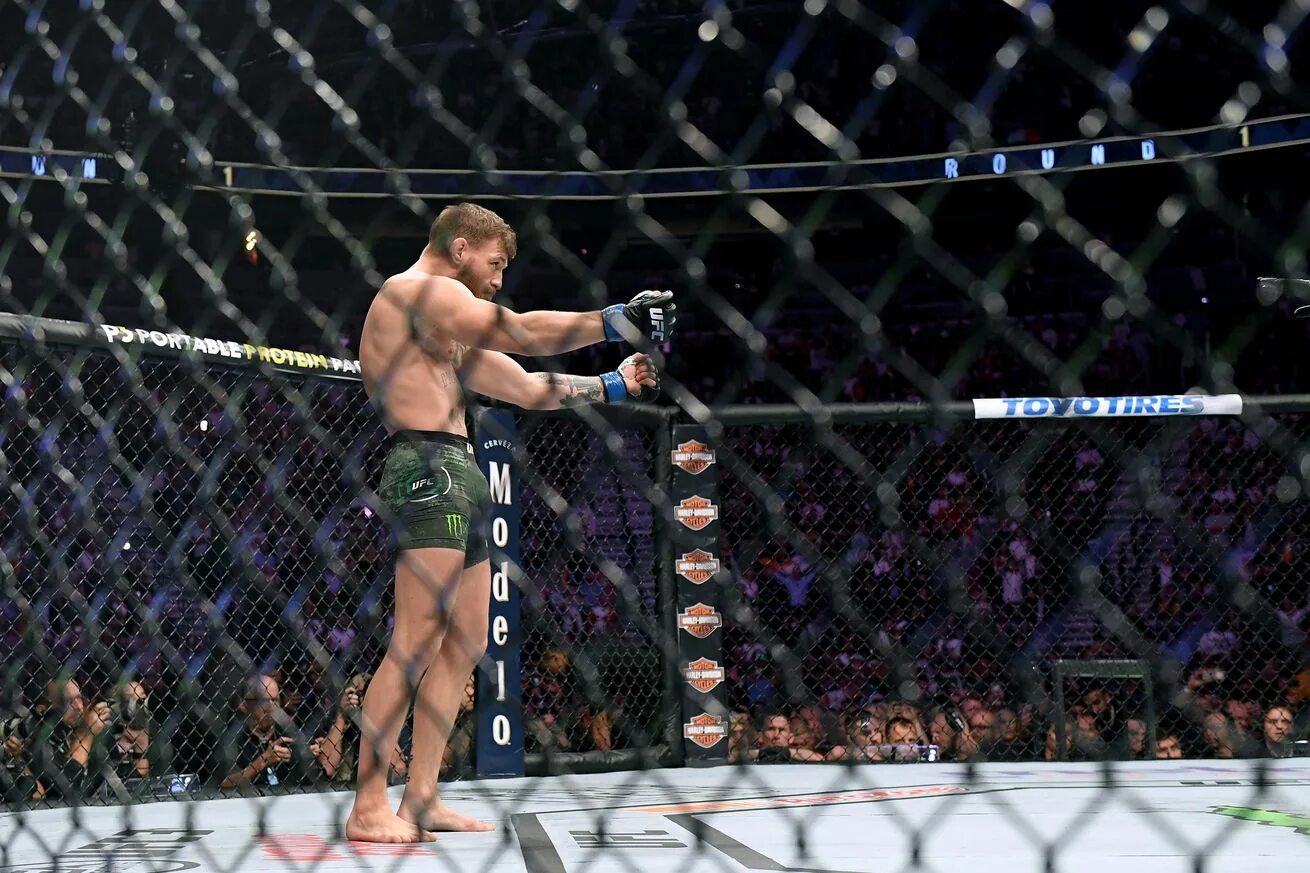 Бой хабиба и макгрегора. Конор макгрегор ufc 229. Конор макгрегор пресс конференция с хабибом. Конор макгрегор. Конор макгрегор 229.