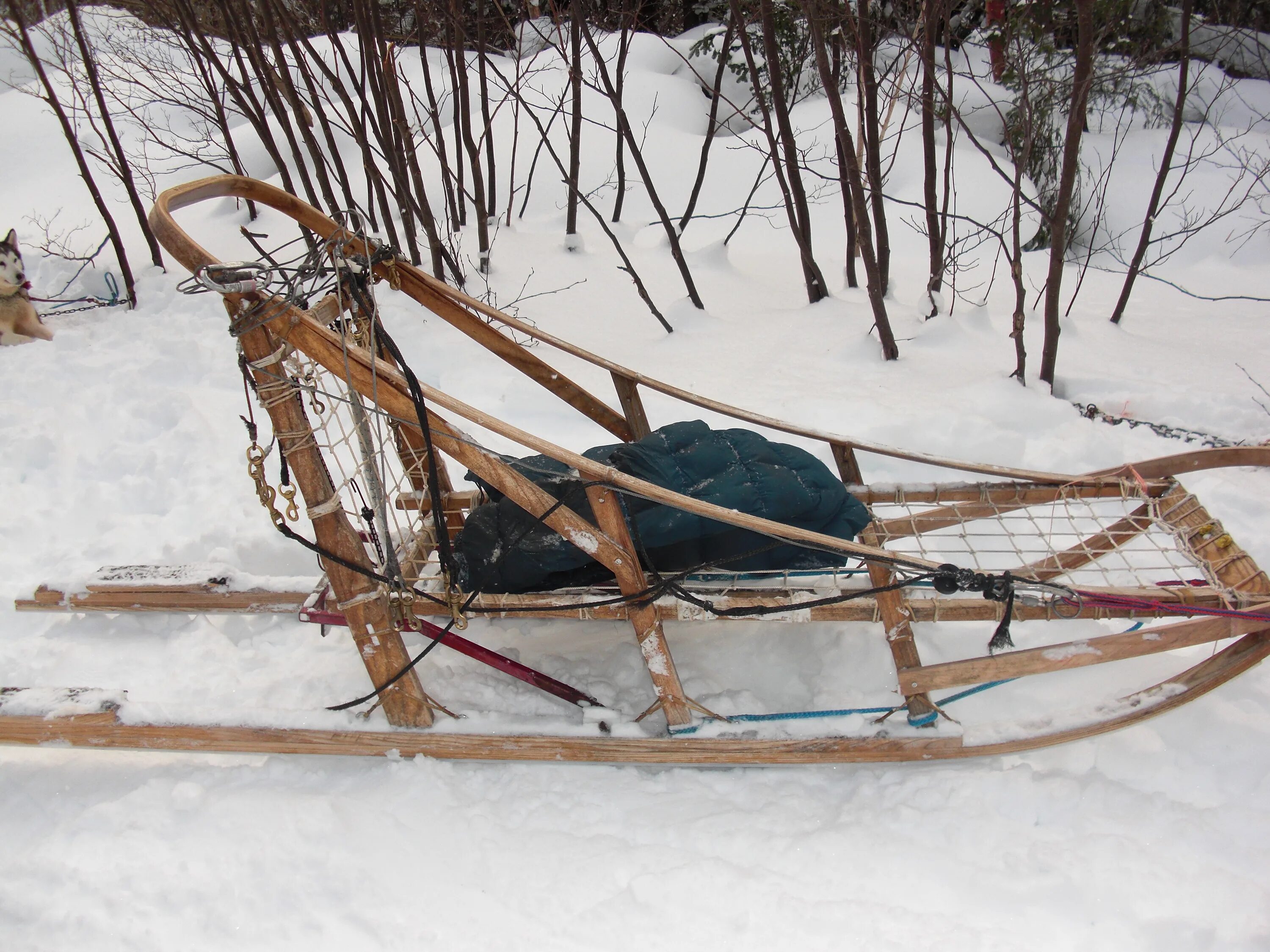 дугокопыльные нарты. сани для ездового спорта. нарты для собак размеры чертежи. чертеж нарды для ездовых собак. нарты волокуши чертежи.