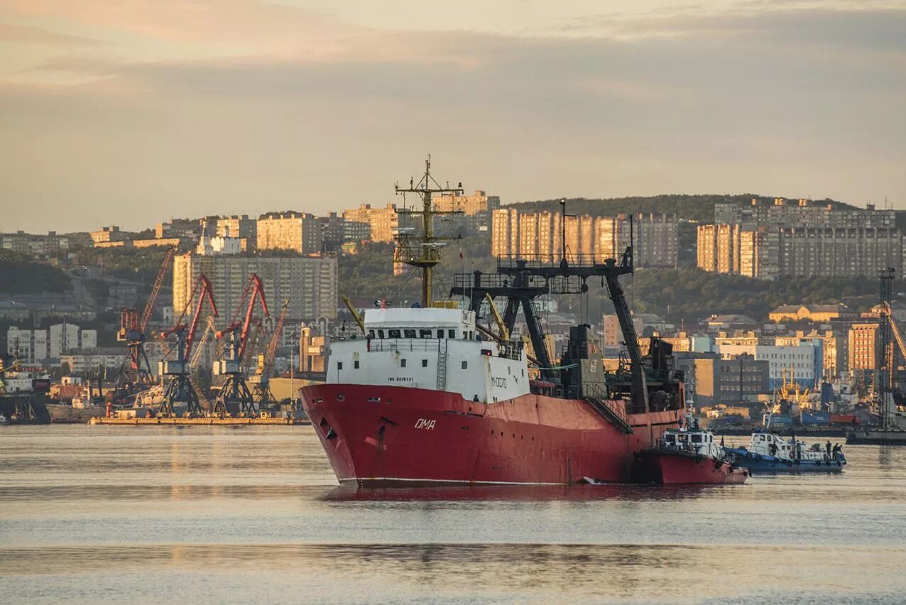 Приход судов в порт. Морской рыбный порт Мурманск. Мурманск рыболовецкий порт. Мурманск порт море. Мурманск Мурманский морской порт летом.