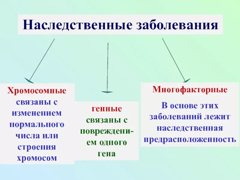 Наследственные заболевания человека схема. Генные и хромосомные болезни. Виды генетических заболеваний человека. Хромосомные наследственные заболевания. Врожденные заболевания 8 класс