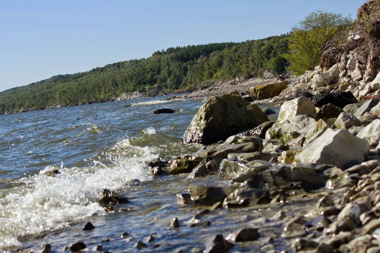 Новодевичье самарская область. Село Новодевичье Шигонского района. Новодевичье Шигонский район пляж. Село Новодевичье Самарской области.