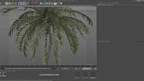 Plugins c