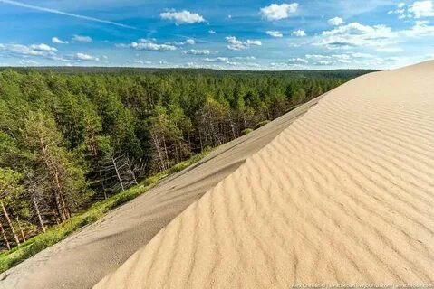Растянулся на просторе