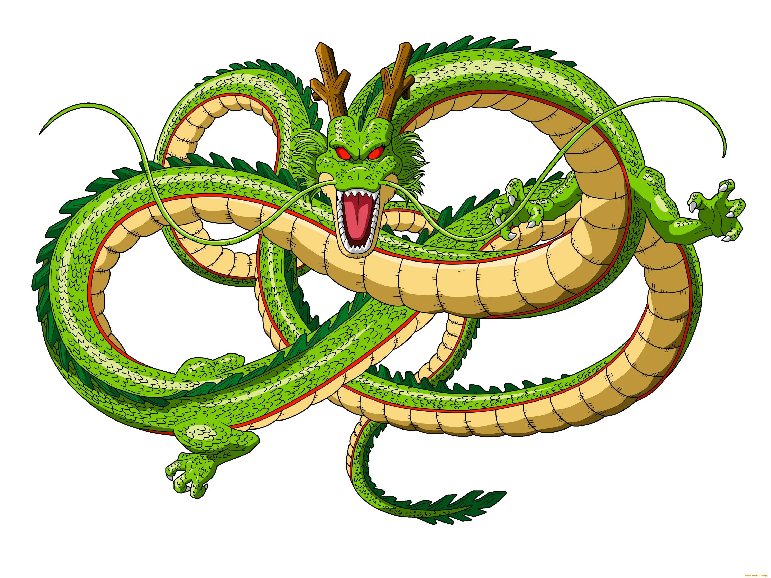 Рисунок зеленого деревянного дракона. Шен Лонг дракон. Shenron Dragon Ball. Шинрон драгон бол дракон. Зелёный дракон драгон Болл.