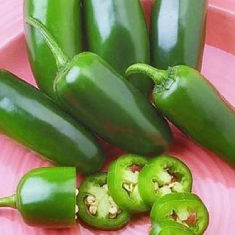 перец халапеньо. мексиканский острый перец халапеньо. мексиканский острый перец халапеньо. острый перец jalapeno. халапеньо сорта перца.