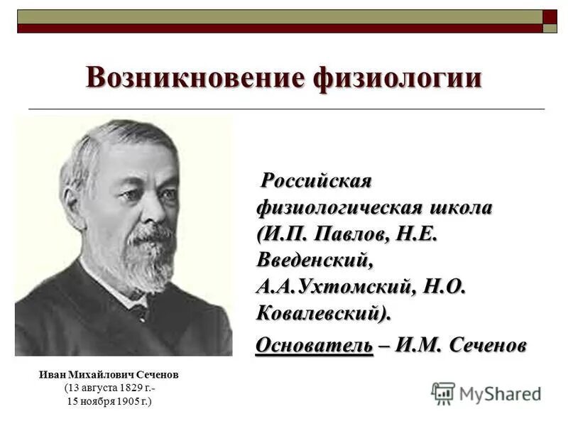 Основатель физиологии. Основоположник физиологии. Поведение это физиология. И п павлов вклад в биологию. Основоположником физиологии является.