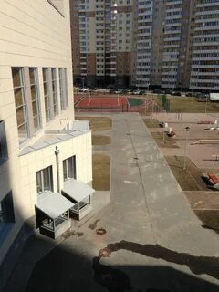 Школа 546