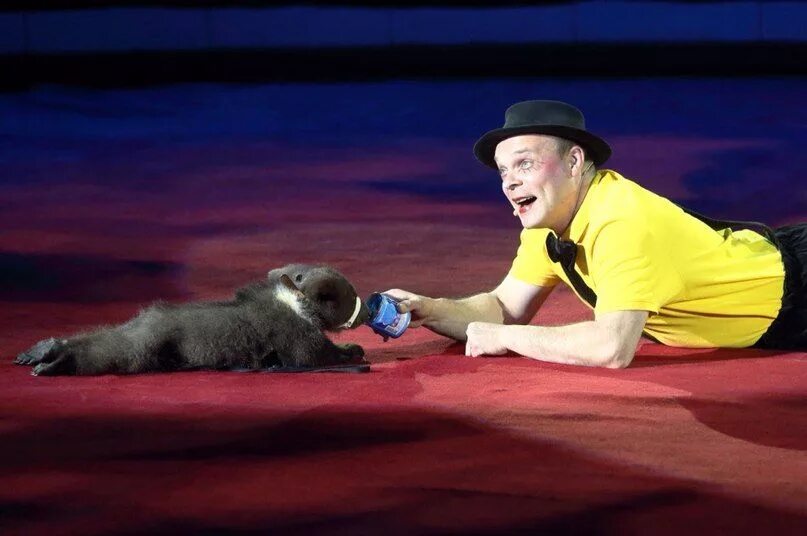 Дерябкин цирк. Дерябкин цирк. Владимир дерябкин младший цирк никулина. Владимир игнатьевич дерябкин. Дерябкин цирк.