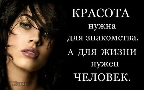 Познакомьтесь с высказываниями