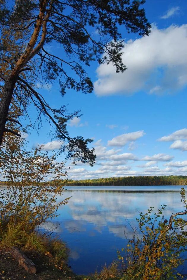 Республика Марий Эл природа. Озеро Яльчик. Йошкар-Ола природа. Озера Республики Марий Эл. Озера республики марий