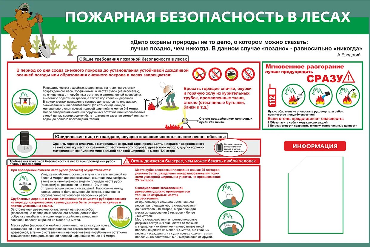 Правил пожарной безопасности в лесах 2020