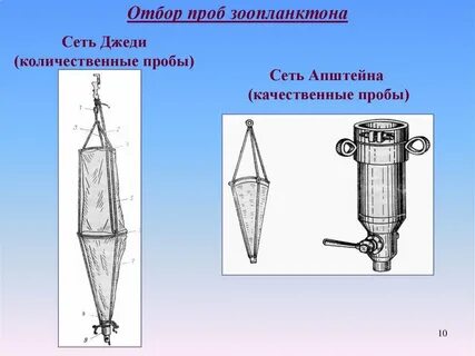Сеть джеди