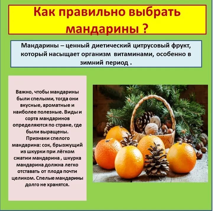турецкие мандарины. как правильно выбрать мандарины. как выбрать мандарины советы. как определить спелый мандарин. как выбрать мандарины.