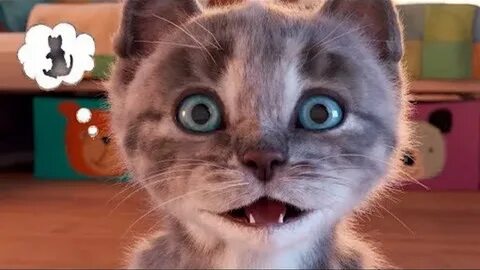 Little little my favorite cat