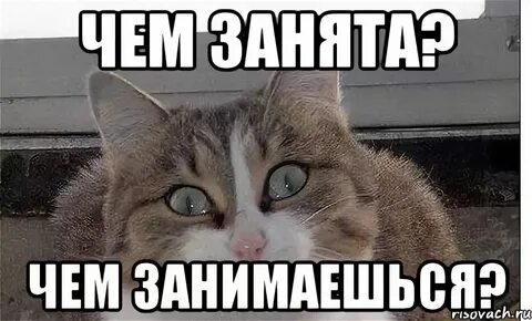 Я понимаю ты занята