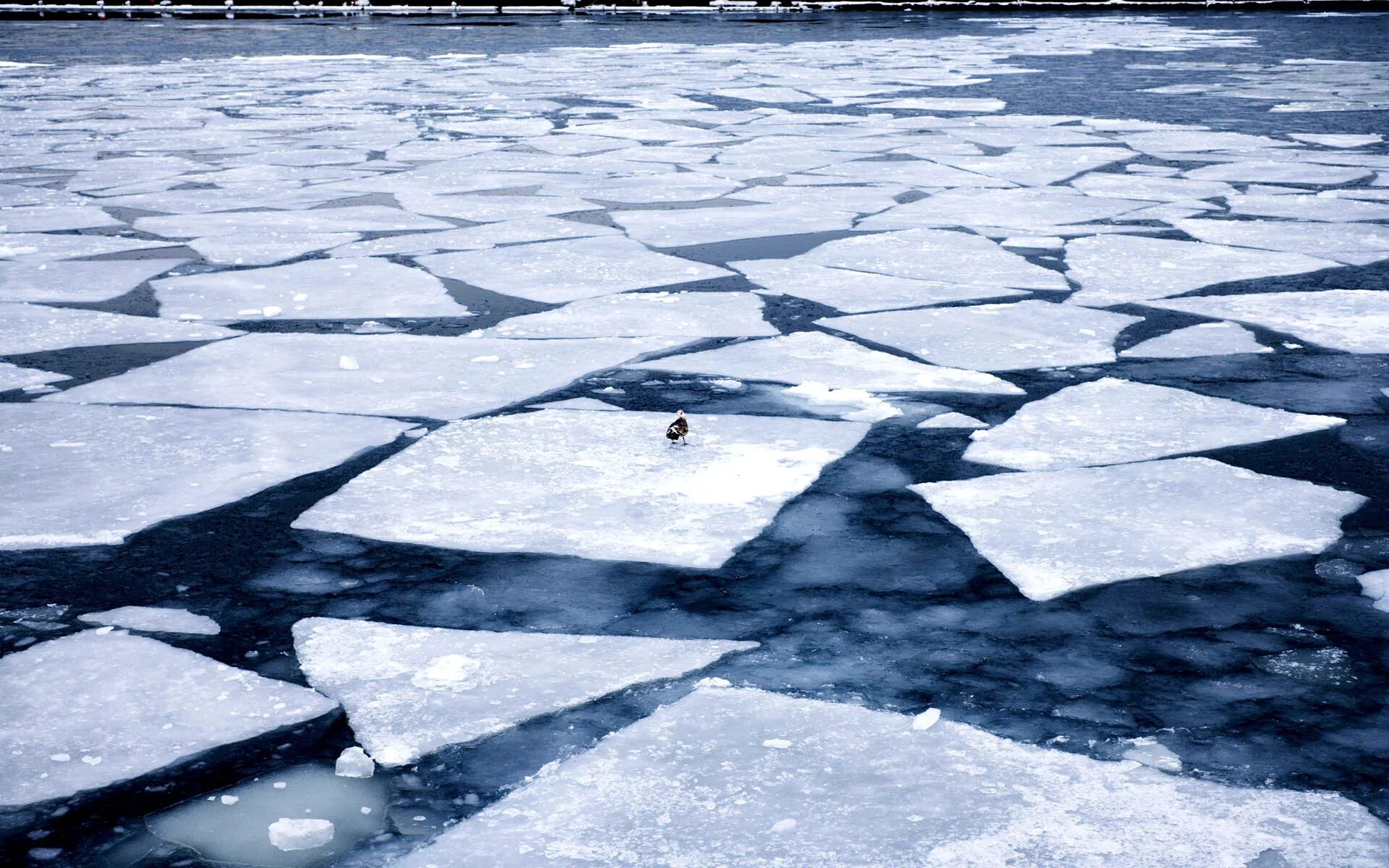 Лед на реке. Льдины на озере. Таяние льда на реке. Льдины на реке. Трещина река