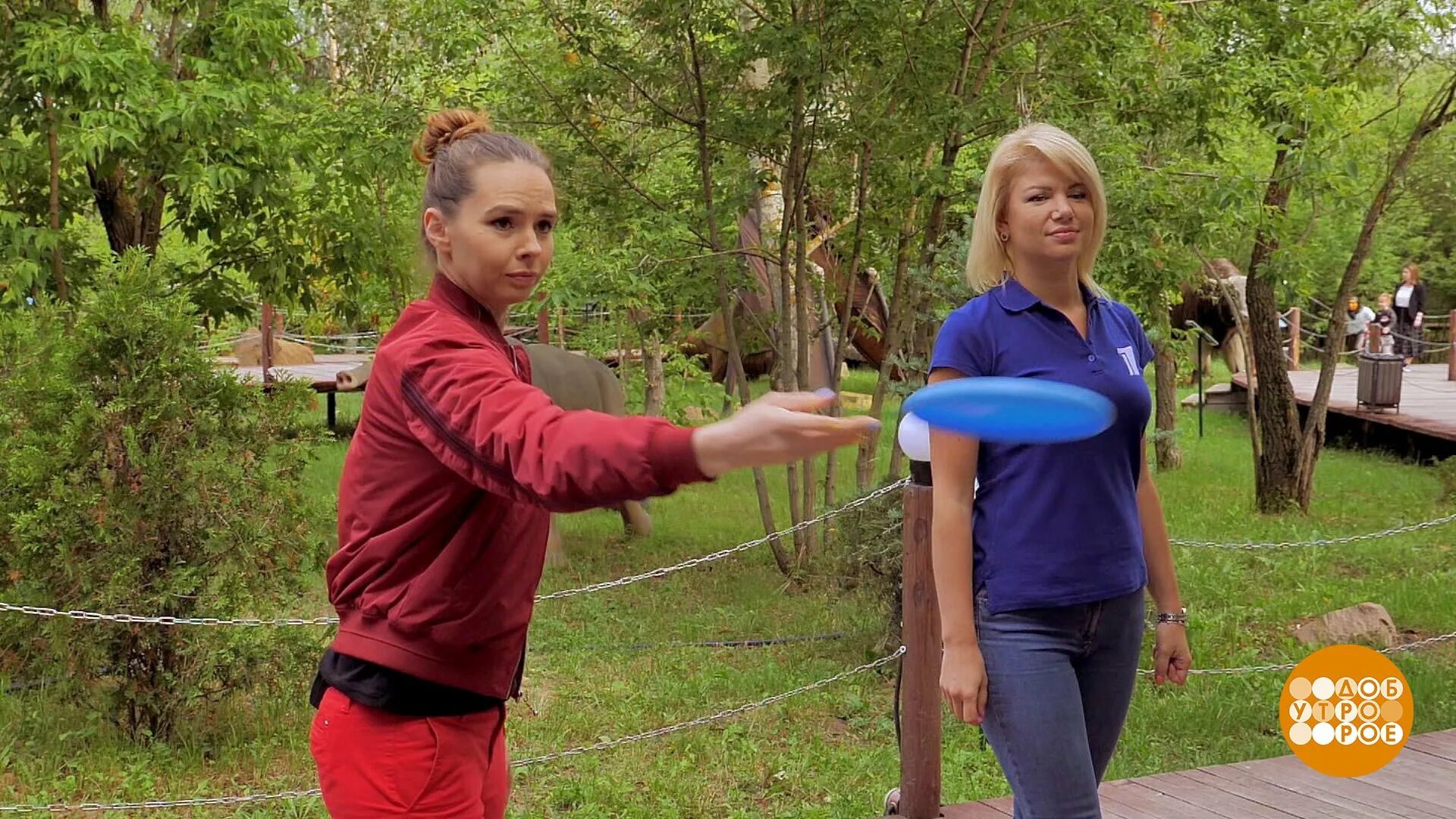 корреспондент доброго утра. корреспондент доброго утра. доброе утро суббота первый канал. корреспонденты первого канала доброе утро женщины. алла малюта.