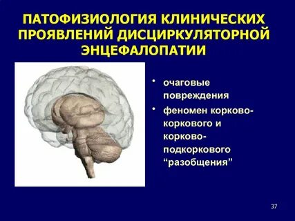 Что такое дисциркуляторная энцефалопатия головного