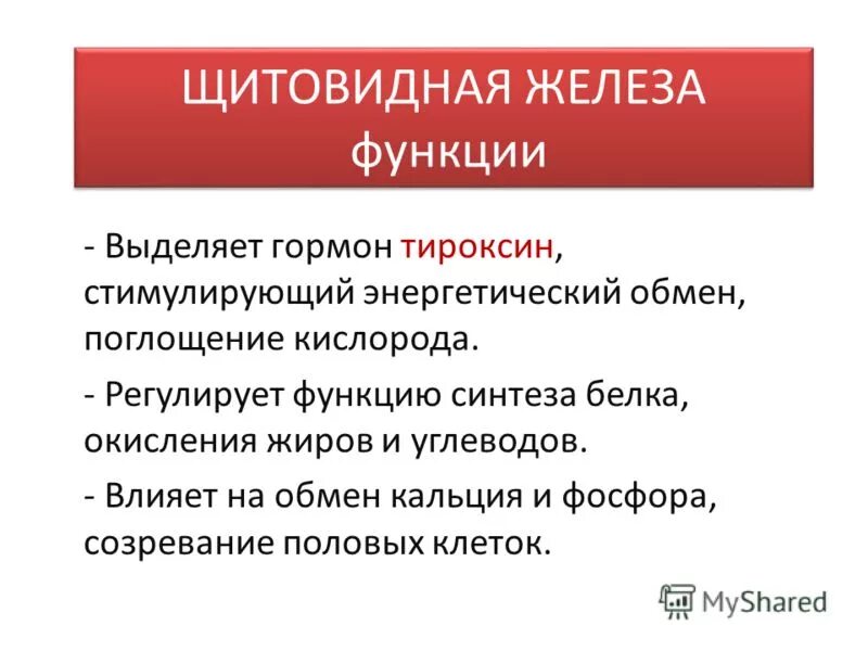 Тироксин функции гормона