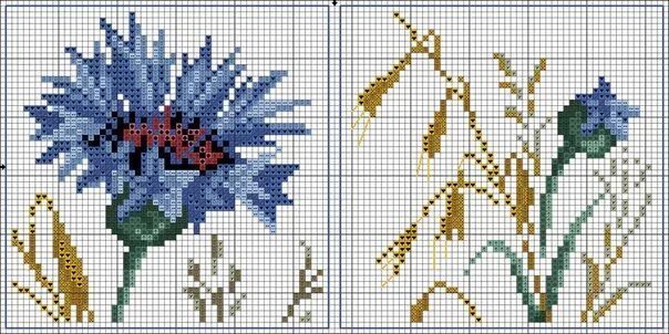 Василек схема. Вышивка крестом васильки. Вышивка васильки крестиком. Схема вышивки крестом васильки. Схема василька для вышивки.
