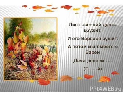 Осени 4 разбор