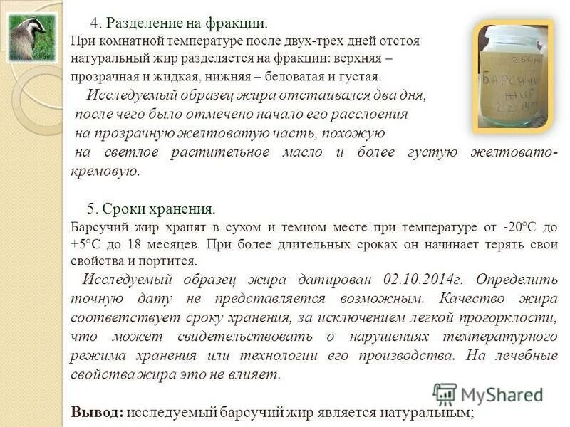Барсучий жир при пневмонии у взрослых как. Барсучий жир застывает. барсучий жир описание. барсучий жир в народной медицине. барсучий жир для питья.
