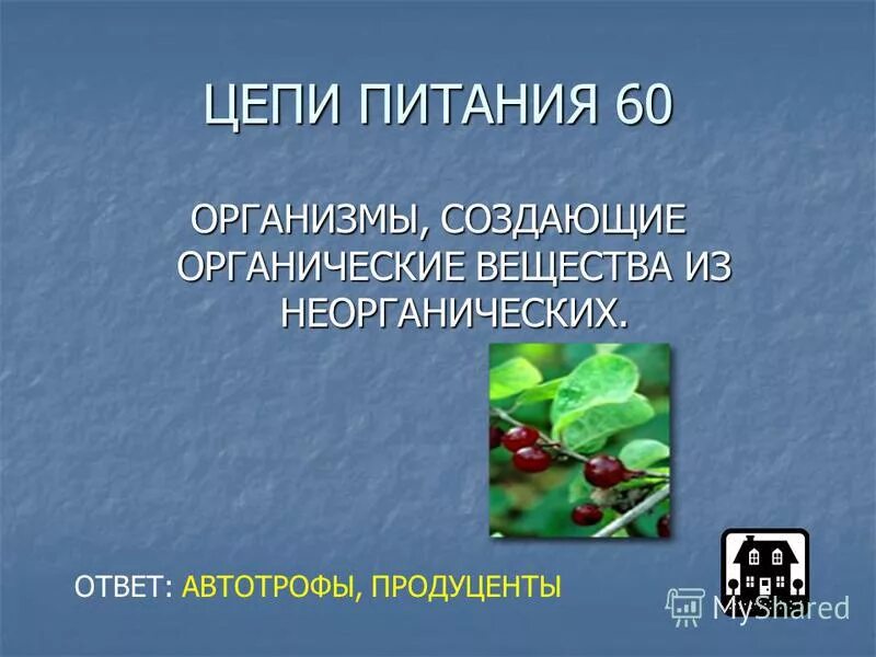 гетеротрофные организмы синтезируют. животные получают органические вещества из неорганических. тип питание автотрофное и гетеротрофное питание. органические вещества и неорганические вещества биология 6 класс. автотрофный и гетеротрофный тип питания.