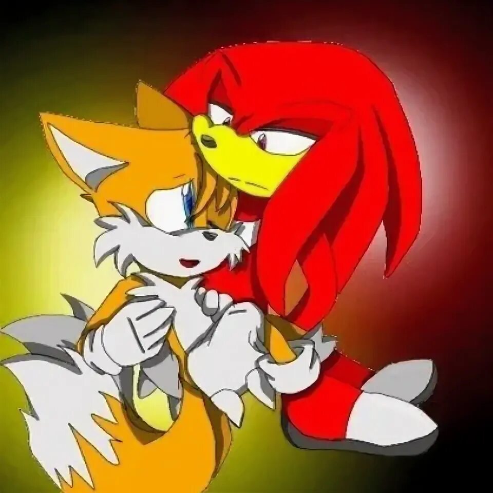 Наклз и тейлз. Наклз и тейлз шип. соник тейлз и наклз. sonic тейлз и наклз.