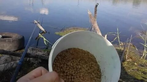 Рыбалка на карася с берега видео