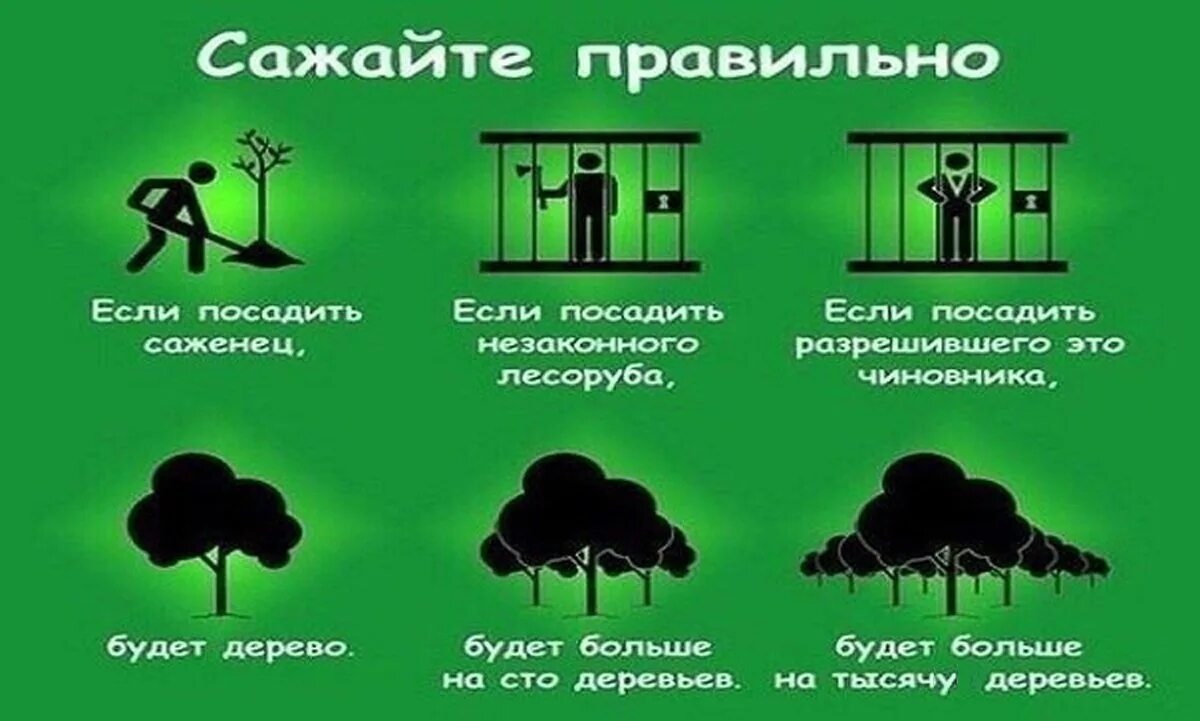 Не посаженные деревья как пишется