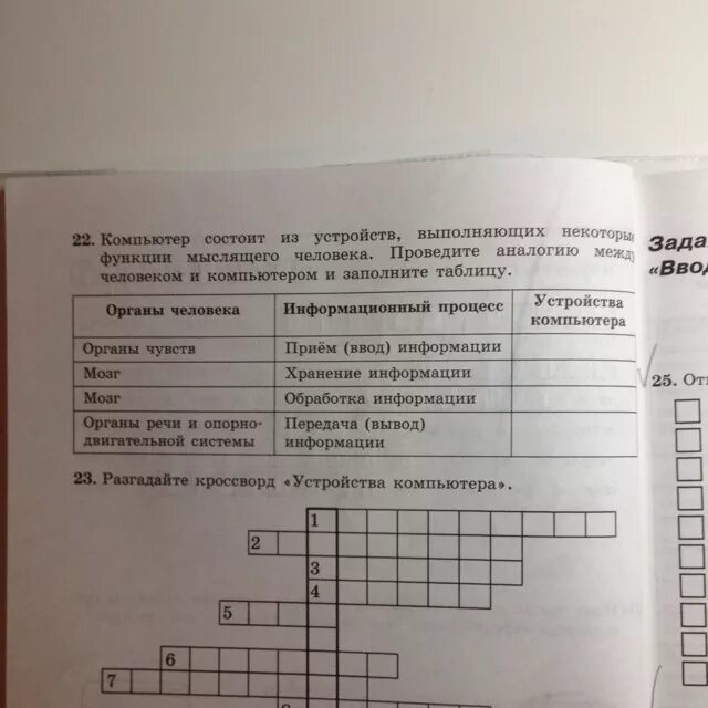 Таблица органы человека информационный процесс устройства компьютера. Таблица органы человека информационный процесс устройства компьютера