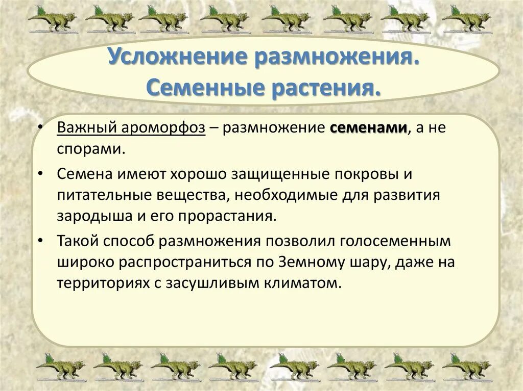 Отличия семени и споры у растений