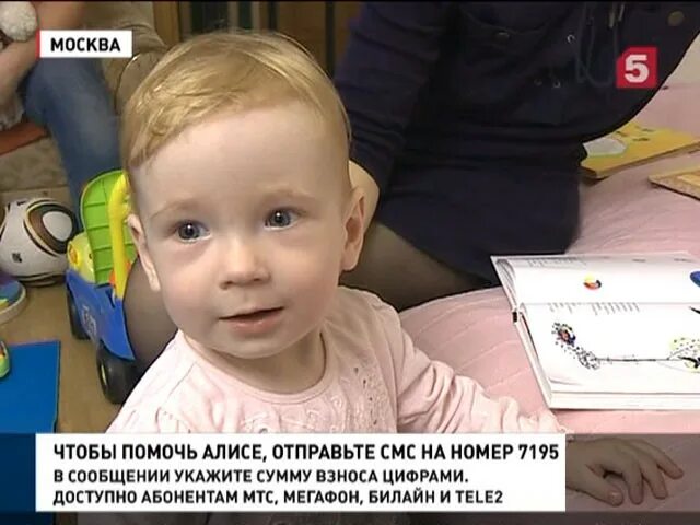 5 канал день добрых. День добрых дел пятый канал. день добрых дел на 5 каждый четверг. день добрых дел на пятом сегодняшний выпуск. день добрых дел на пятом сегодняшний номер смс.
