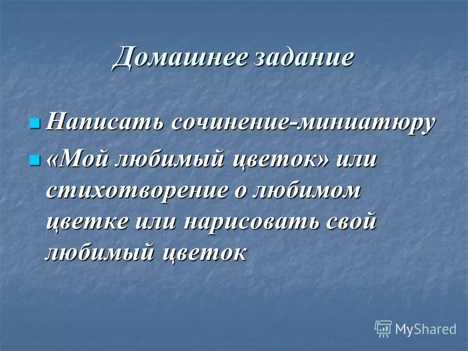 Сочинение мой самый любимый цветок. Сочинение о любимом цветке. Проект цветы розы. Сочинение мой самый любимый цветок. Сочинение мой самый любимый цветок.