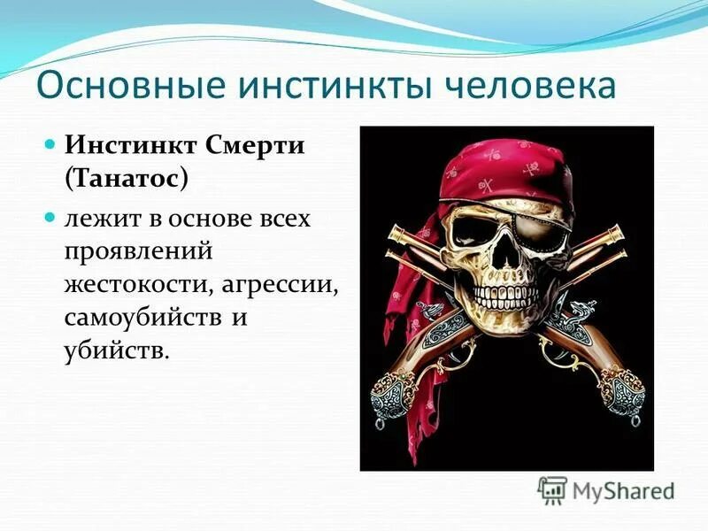 примеры инстинктов у человека. врожденные инстинкты человека. примеры инстинктов. инстинкт это в психологии. инстинкты человека список.