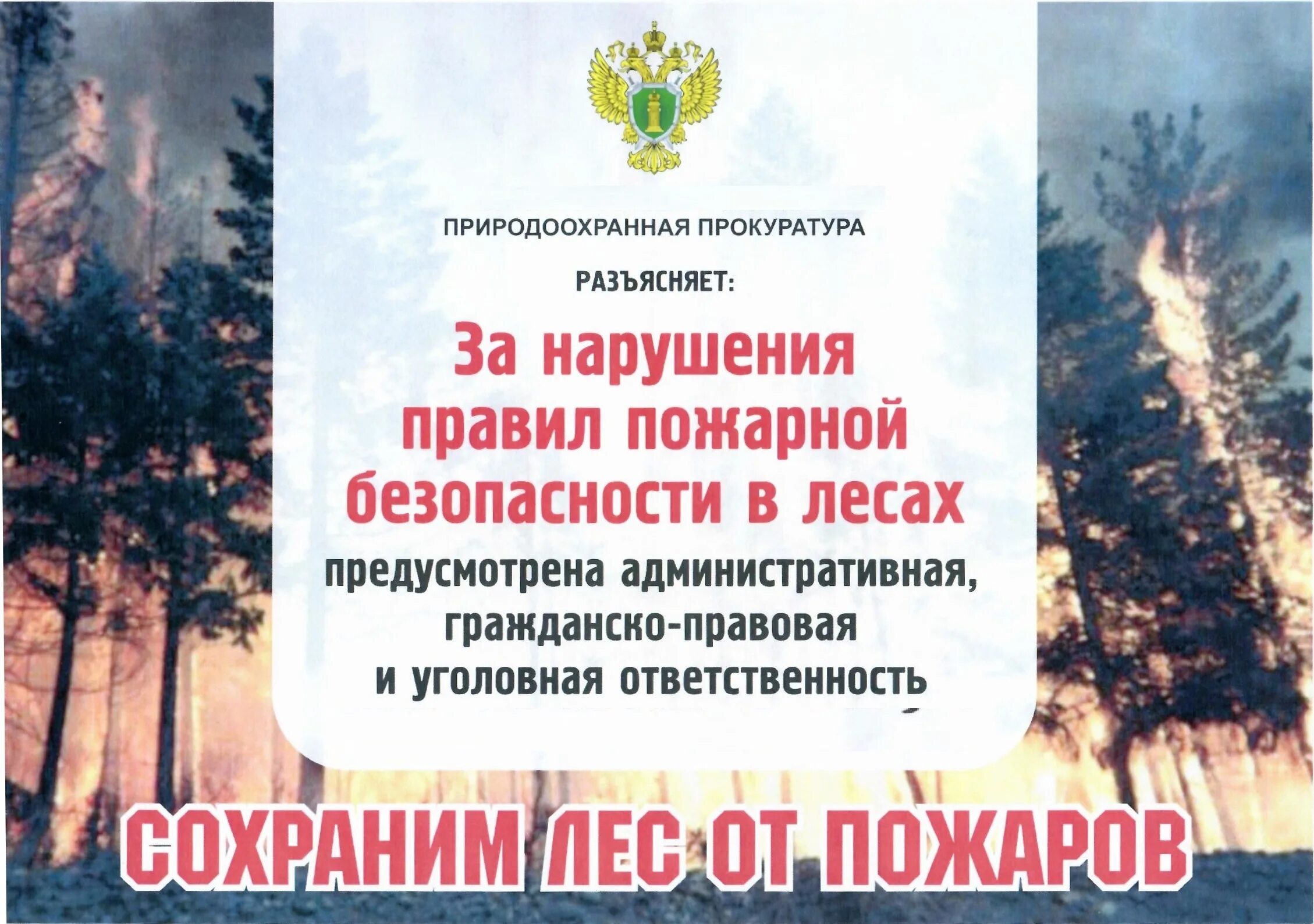 Пожарная безопасность в лесу. Безопасность лесов от пожа. Нарушение противопожарных правил в лесах. Нарушение правил пожарной безопасности в лесу. Правил пожарной безопасности в лесах 2020