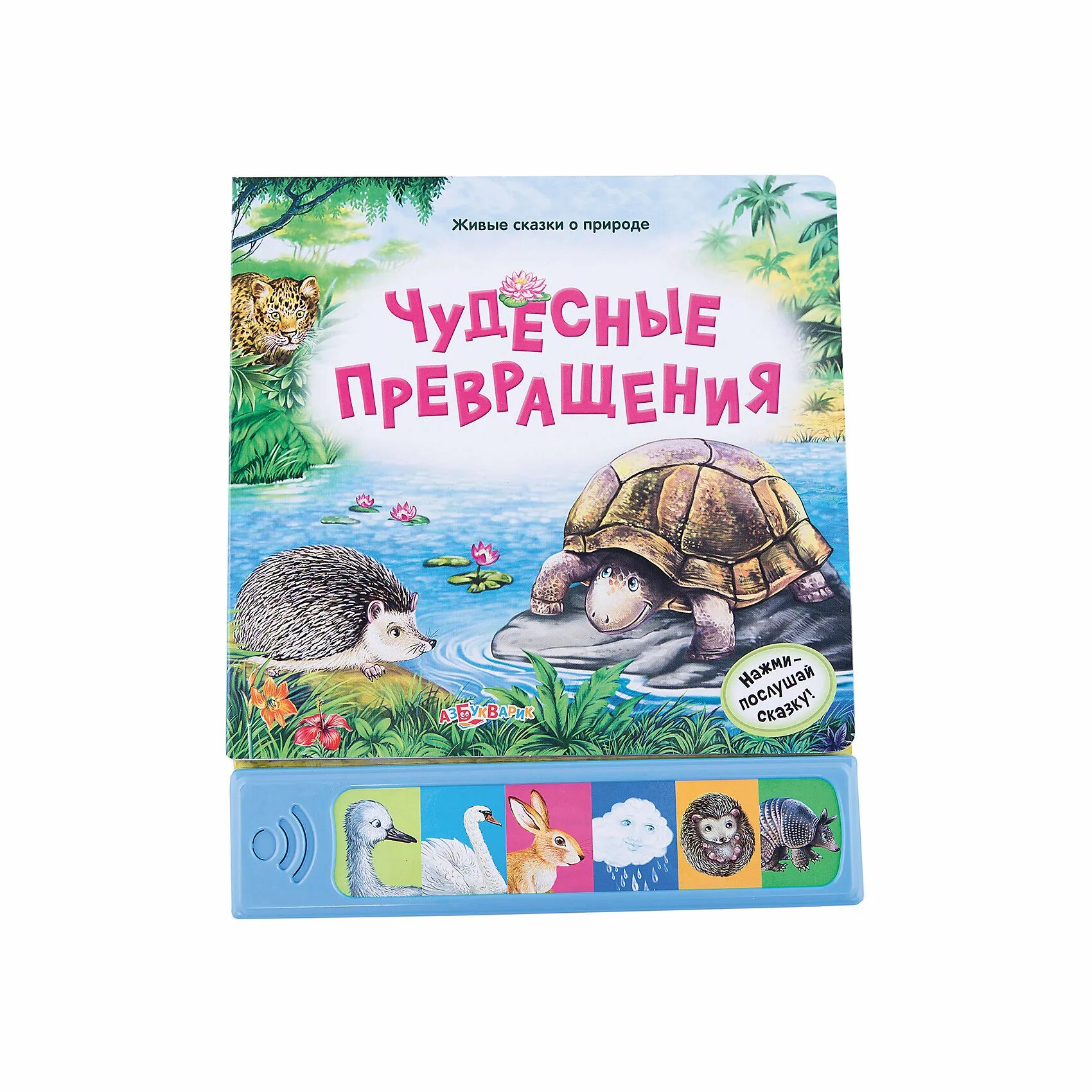 Сказка живая природа. Сказка про живую природу. Азбукварик живые сказки. Сказки о животных Азбукварик. Чудесные превращения.