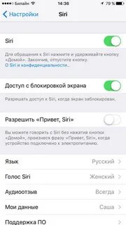 Настройка сири