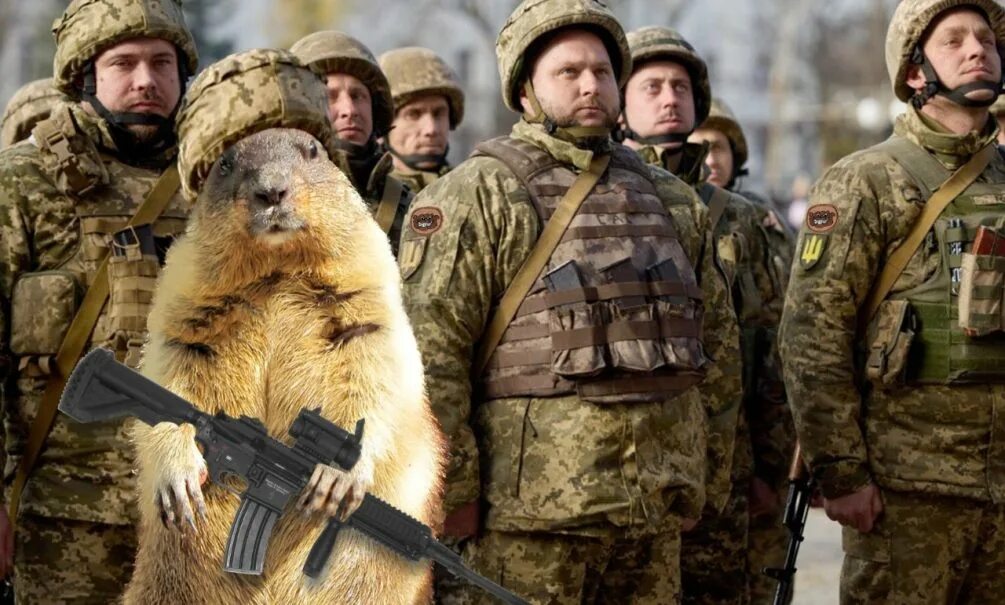 Военные бобры. Боевые бобры Украины.