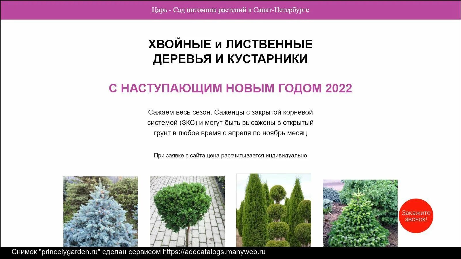 Царь-сад питомник растений. Садовый питомник царь сад. Питомник хвойных СПБ. Царь сад питомник в СПБ. Сайты питомников растений в спб
