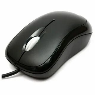 V mouse