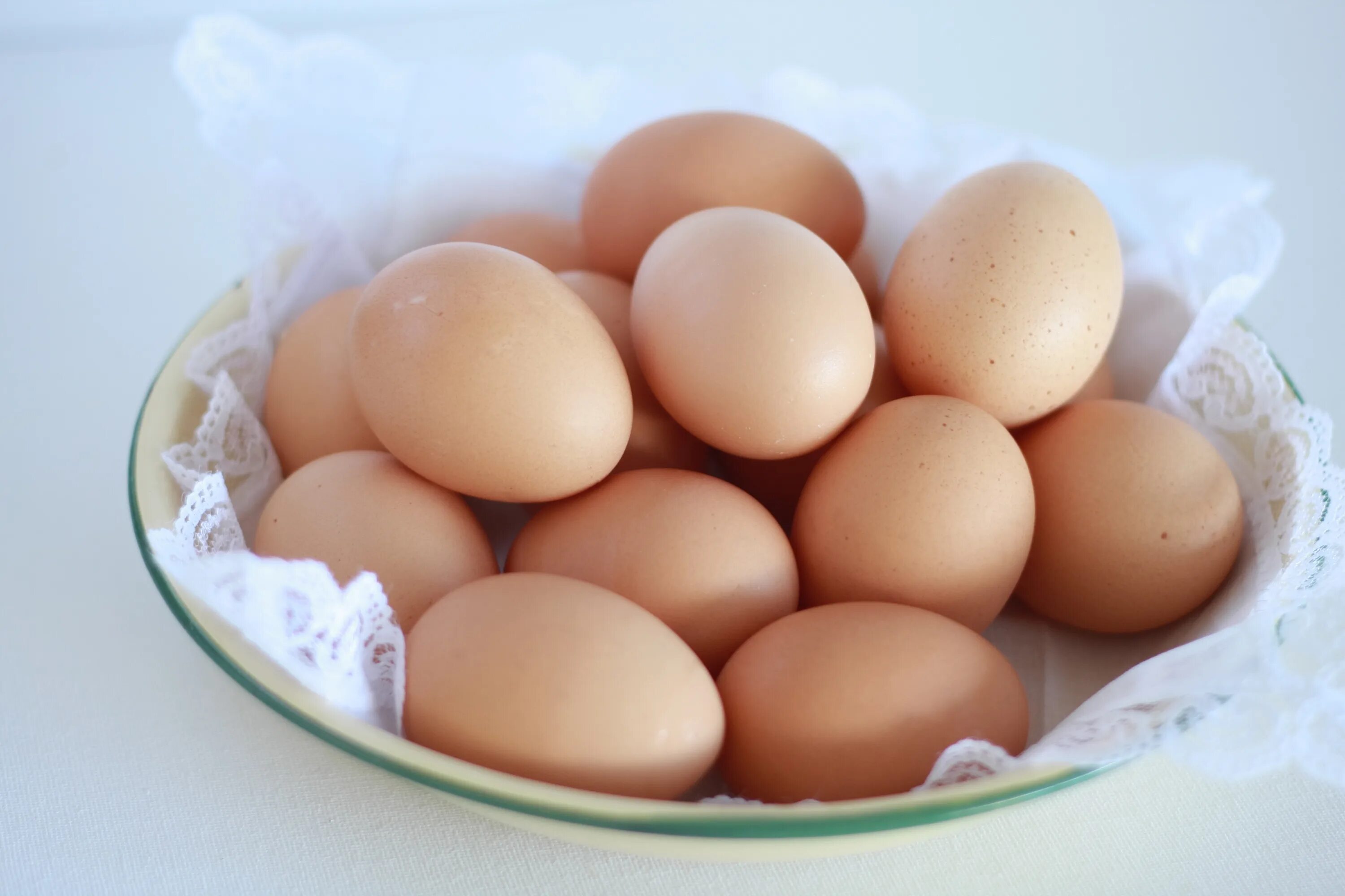 Egg net